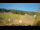 Webcam in Sienna, 95.4 km