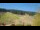 Webcam in Sienna, 12.3 mi away