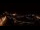 Webcam in Krakau (Krakow), 0.8 km entfernt