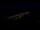 Webcam in Jurata, 78 mi away