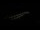 Webcam in Jurata, 73.9 mi away