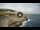 Webcam in Santa Cesarea Terme, 0.8 km entfernt