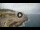 Webcam in Santa Cesarea Terme, 18.9 km entfernt
