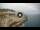 Webcam in Santa Cesarea Terme, 21.4 km entfernt