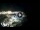 Webcam in Santa Cesarea Terme, 0.3 mi away