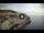 Webcam in Santa Cesarea Terme, 18.9 km