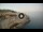 Webcam in Santa Cesarea Terme, 28.3 km