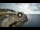 Webcam in Santa Cesarea Terme, 0.8 km