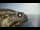 Webcam in Santa Cesarea Terme, 21.4 km