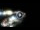 Webcam in Santa Cesarea Terme, 12.5 km entfernt