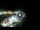 Webcam in Santa Cesarea Terme, 27.6 km