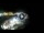 Webcam in Santa Cesarea Terme, 12.8 km
