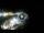 Webcam in Santa Cesarea Terme, 22.4 km