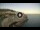 Webcam in Santa Cesarea Terme, 27.7 km