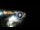 Webcam in Santa Cesarea Terme, 18.9 km