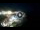 Webcam in Santa Cesarea Terme, 0.3 km