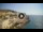 Webcam in Santa Cesarea Terme, 0.3 km entfernt