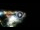 Webcam in Santa Cesarea Terme, 0.3 km entfernt