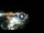 Webcam in Santa Cesarea Terme, 7.3 mi away