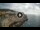 Webcam in Santa Cesarea Terme, 0.8 km entfernt