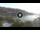 Webcam in Cala Vadella (Ibiza), 19.8 km entfernt