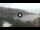 Webcam in Cala Vadella (Ibiza), 10.8 mi away