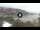 Webcam in Cala Vadella (Ibiza), 10.8 mi away