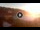 Webcam in Cala Vadella (Ibiza), 7 mi away