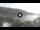 Webcam in Cala Vadella (Ibiza), 7 mi away