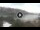 Webcam in Cala Vadella (Ibiza), 7.7 mi away