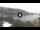 Webcam in Cala Vadella (Ibiza), 9.4 km