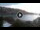 Webcam in Cala Vadella (Ibiza), 10.1 mi away