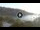 Webcam in Cala Vadella (Ibiza), 7 mi away