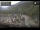Webcam sulla Island Princess, 831 km