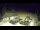 Webcam in Myślenice, 27 km entfernt