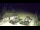 Webcam in Myślenice, 51.2 km entfernt