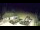 Webcam in Myślenice, 27.2 km entfernt