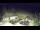 Webcam in Myślenice, 51.2 km
