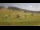 Webcam in Czarna Góra, 16.6 km entfernt