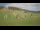 Webcam in Czarna Góra, 23.2 mi away