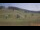 Webcam in Czarna Góra, 7.4 km