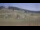 Webcam in Czarna Góra, 14.9 km