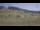 Webcam in Czarna Góra, 1.7 km