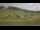 Webcam in Czarna Góra, 2.6 km