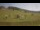 Webcam in Czarna Góra, 2.6 km entfernt