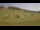 Webcam in Czarna Góra, 16.6 km