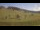 Webcam in Czarna Góra, 16.6 km entfernt