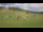 Webcam in Czarna Góra, 25.6 km