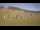 Webcam in Czarna Góra, 1 mi away