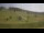 Webcam in Czarna Góra, 16.6 km